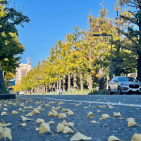 画像471