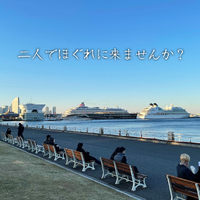 画像495