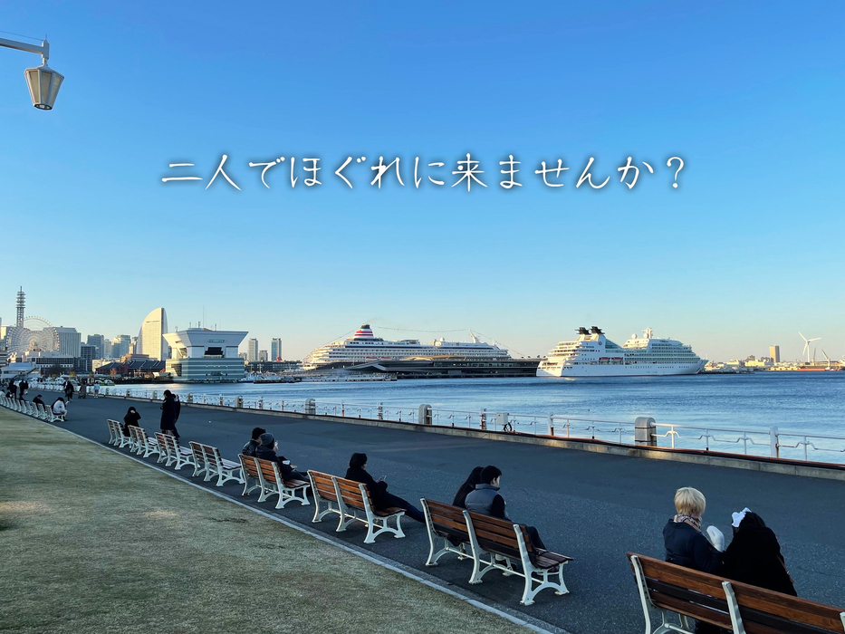 画像495