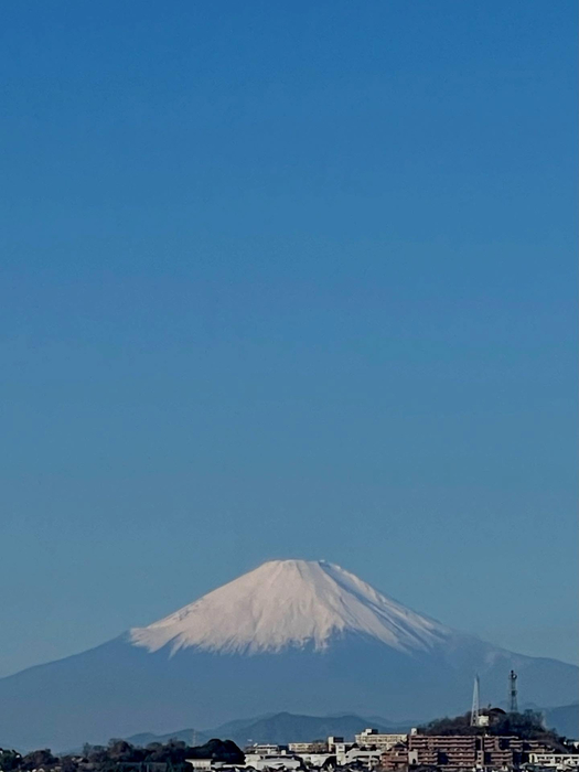 画像521
