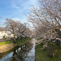 画像605