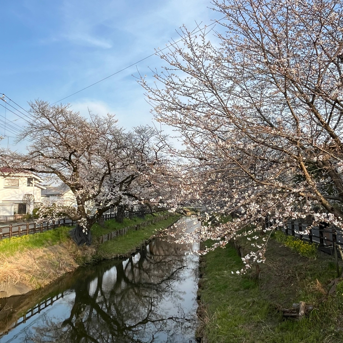 画像605